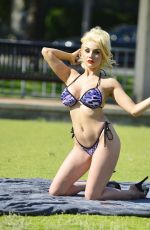 COUTNEY STODDEN in Bikini with her Dog at a Park in Los Angeles 07/31/2019