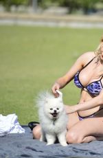 COUTNEY STODDEN in Bikini with her Dog at a Park in Los Angeles 07/31/2019