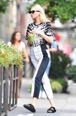 ELSA HOSK Out for Lunch at Il Buco in New York 08/21/2019