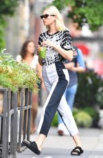 ELSA HOSK Out for Lunch at Il Buco in New York 08/21/2019