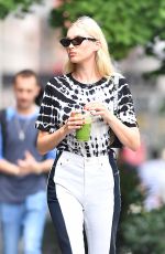ELSA HOSK Out for Lunch at Il Buco in New York 08/21/2019