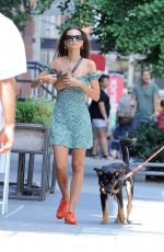 EMILY RATAJKOWSKI and Sebastian Bear-McClard Out with Their Dog in New York 08/03/2019