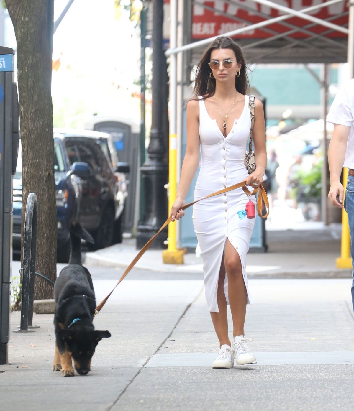 EMILY RATAJKOWSKI Out with her Dog Colombo in New York 08/01/2019 ...