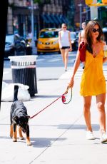 EMILY RATAJKOWSKI Out with Her Dog Colombo in New York 08/18/2019