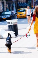 EMILY RATAJKOWSKI Out with Her Dog Colombo in New York 08/18/2019
