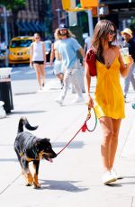EMILY RATAJKOWSKI Out with Her Dog Colombo in New York 08/18/2019