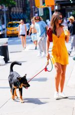 EMILY RATAJKOWSKI Out with Her Dog Colombo in New York 08/18/2019