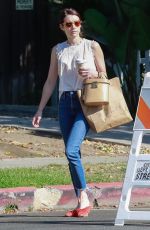 EMMA ROBERTS Leaves Oaks Gourmet in Los Angeles 08/06/2019
