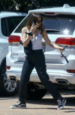 HAILEE STEINFELD Out Shopping in Malibu 08/01/2019