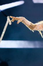 JENNIFER LOPEZ Performs at a Concert in Moscow 08/04/2019