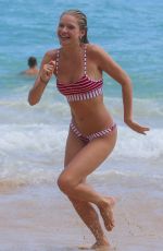 JOSIE CANSECO in Bikini on the Beach in Honolulu 08/02/2019