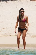 LEA MICHELE in Bikini on the Beach in Hawaii 08/08/2019