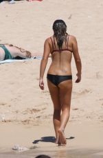 LEA MICHELE in Bikini on the Beach in Hawaii 08/08/2019