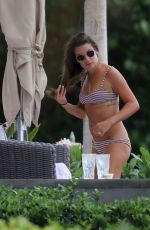 LEA MICHELE in Bikini on Vacation in Hawaii 08/14/2019