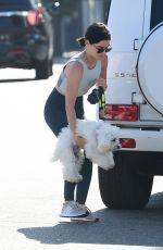 LUCY HALE Drops Off Her Dog at Doggie Daycare in Studio City 08/10/2019