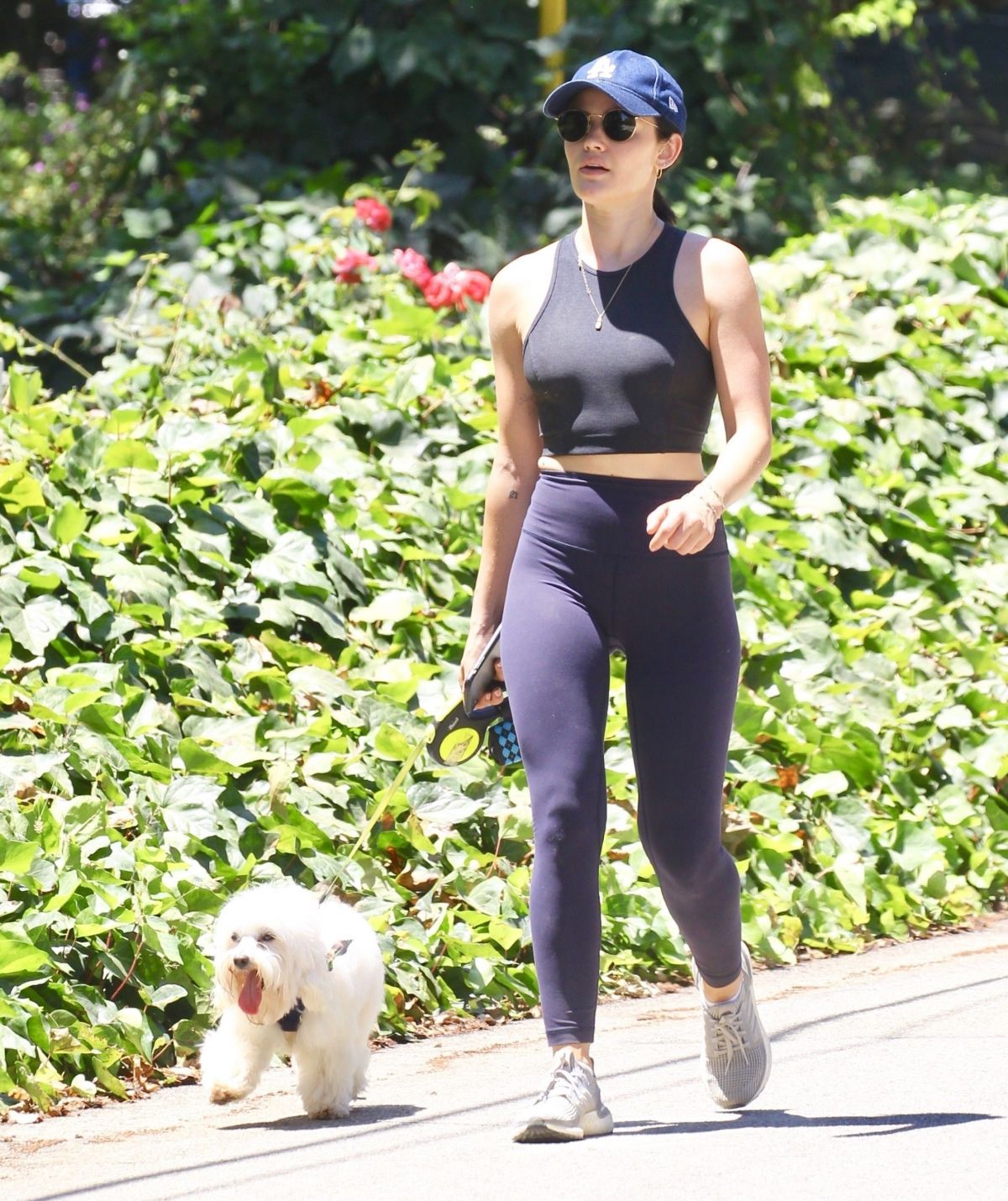 LUCY HALE in Tights Out with her Dog Elvis in Studio City 08/01/2019 ...