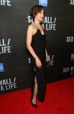MAGGIE GYLLENHAAL at Fiji Water at Sea Wall / A Life Opening Night on Broadway in New York 08/08/2019