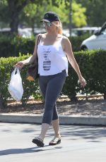 NICOLLETTE SHERIDAN Out with Her Dog in Calabasas 08/08/2019