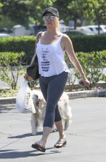 NICOLLETTE SHERIDAN Out with Her Dog in Calabasas 08/08/2019