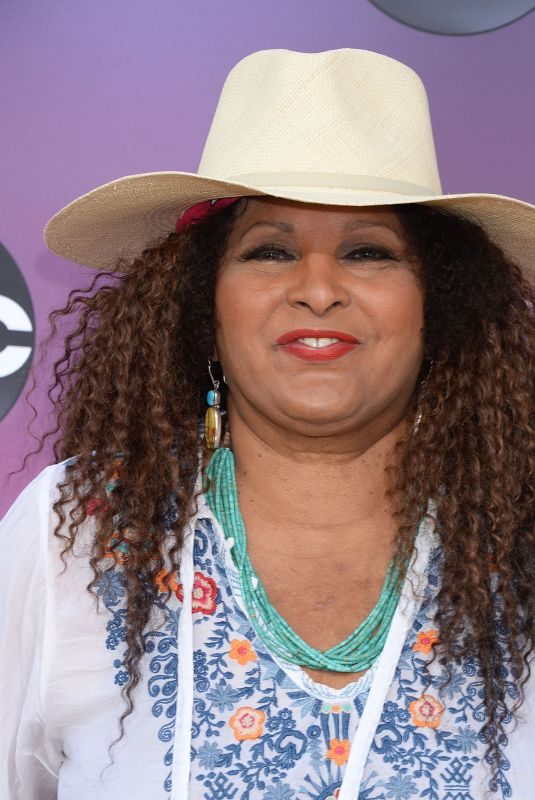 PAM GRIER at ABC’s TCA Summer Press Tour in West Hollywood 08/05/2019