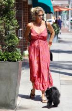 RACHEL HUNTER Out with Her Dog in Beverly Hills 08/06/2019