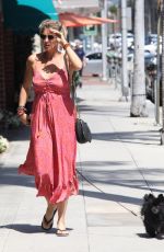 RACHEL HUNTER Out with Her Dog in Beverly Hills 08/06/2019