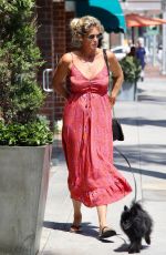 RACHEL HUNTER Out with Her Dog in Beverly Hills 08/06/2019