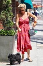 RACHEL HUNTER Out with Her Dog in Beverly Hills 08/06/2019