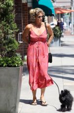 RACHEL HUNTER Out with Her Dog in Beverly Hills 08/06/2019