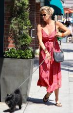 RACHEL HUNTER Out with Her Dog in Beverly Hills 08/06/2019