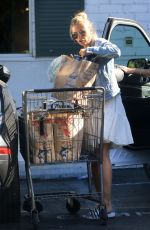 REBECCA GAYHEART Shopping at Bristol Farms in Beverly Hills 08/13/2019