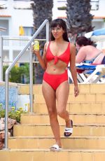 ROXANNE PALLETT in Bikini at a Pool in New York, August 2019
