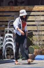VANESSA HUDGENS Out for Lunch in Los Feliz 08/02/2019