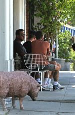 VANESSA HUDGENS Out in Los Angeles 08/22/2019