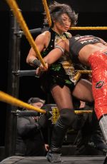 WWE - NXT Digitals 07/24/2019