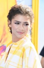 ZENDAYA COLEMAN at Teen Choice Awards 2019 in Hermosa Beach 08/11/2019