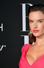ALESSANDRA AMBROSIO at Harper
