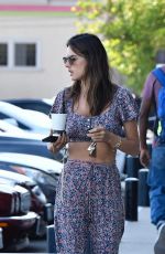 ALESSANDRA AMBROSIO Makeup Free Out in Los Angeles 09/14/2019