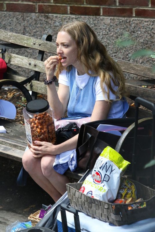 AMANDA SEYFRIED on the Set of A Mouthful of Air in New York 09/24/2019