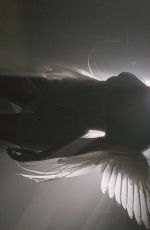 ARIANA GRANDE for Don