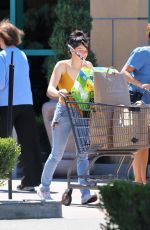 ARIEL WINTER Out Shopping in Los Angeles 09/04/2019