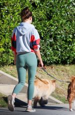AUBREY PLAZA Out with Her Dogs in Los Angeles 08/22/2019