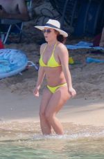 BRITNEY SPEARS in a Yellow Bikini at a Beach in Hawaii 09/10/2019