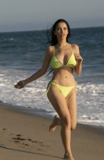 CLAUDIA ALENDE in Bikini at a Beach in Malibu 09/03/2019