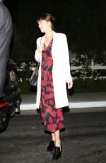 DAKOTA JOHNSON Arrives at Her Sister Stella Banderas