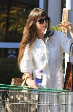 DAKOTA JOHNSON Leaves Grocery Store in Calabasas 09/13/2019