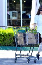 DAKOTA JOHNSON Leaves Grocery Store in Calabasas 09/13/2019