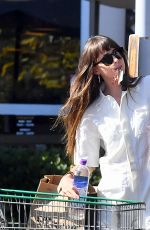DAKOTA JOHNSON Leaves Grocery Store in Calabasas 09/13/2019