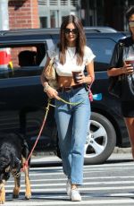 EMILY RATAJKOWSKI in denim Out with Her Dog in New York 09/22/2019