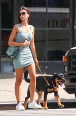 EMILY RATAJKOWSKI Out with her Dog in New York 09/04/2019
